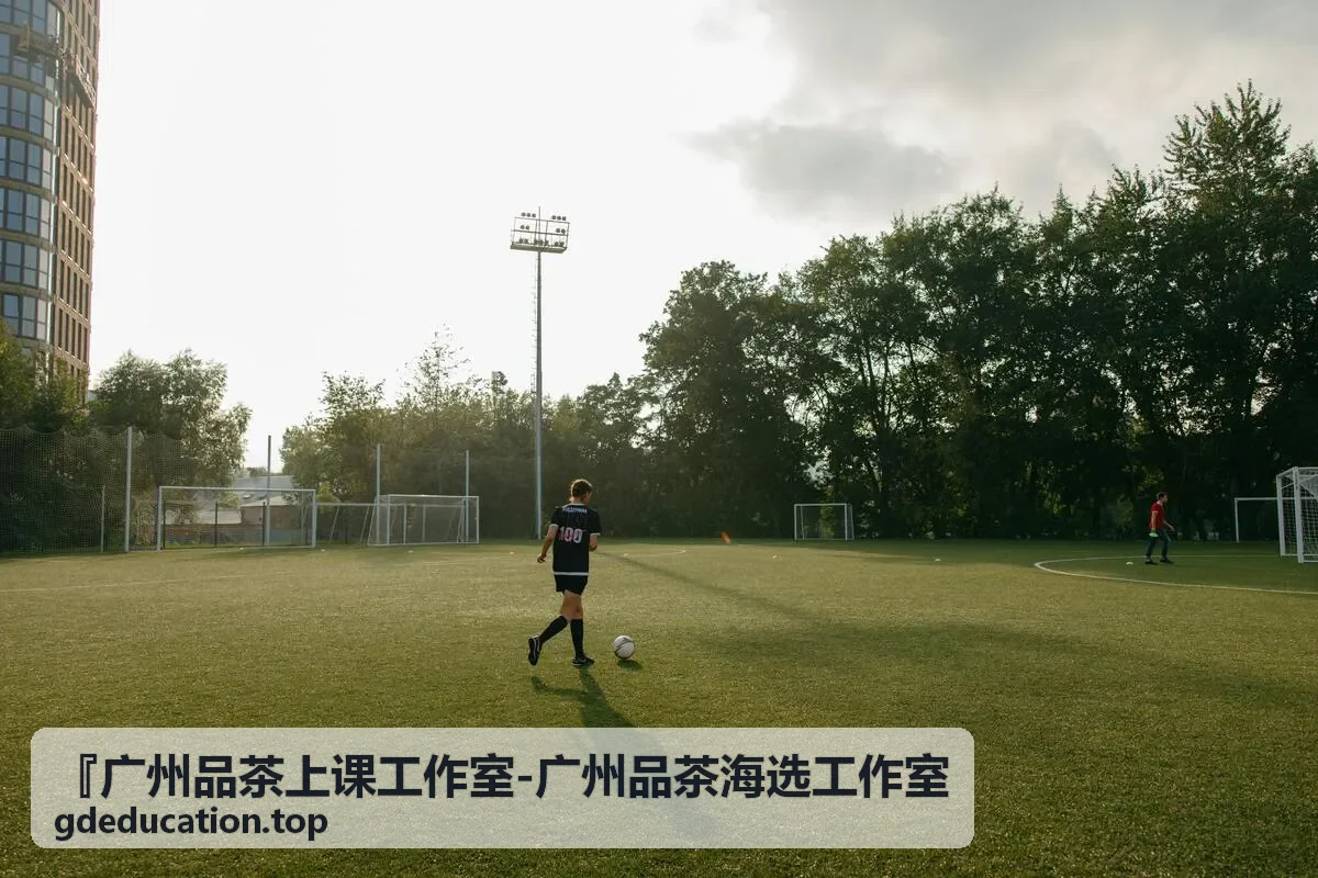 广州品茶海选工作室私享茶室雅集体验